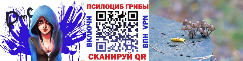 Псилоцибиновые грибы Cubensis  Бугуруслан 
