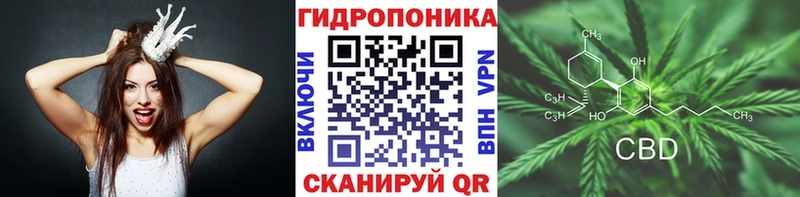 наркотики  Бугуруслан  Шишки марихуана индика 